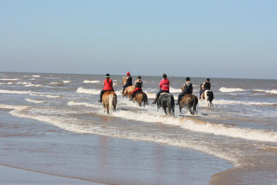 Horse Riding Holiday